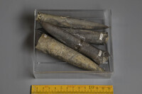 F 02408
<br/>
<br/>
<em></em>